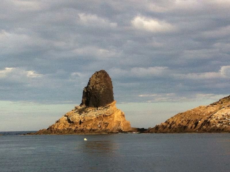 Navigazione in barca con studenti