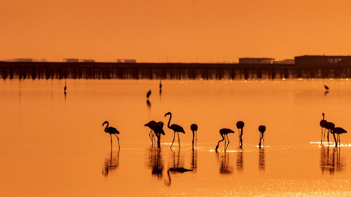 Umrundung der Columbretes-Inseln