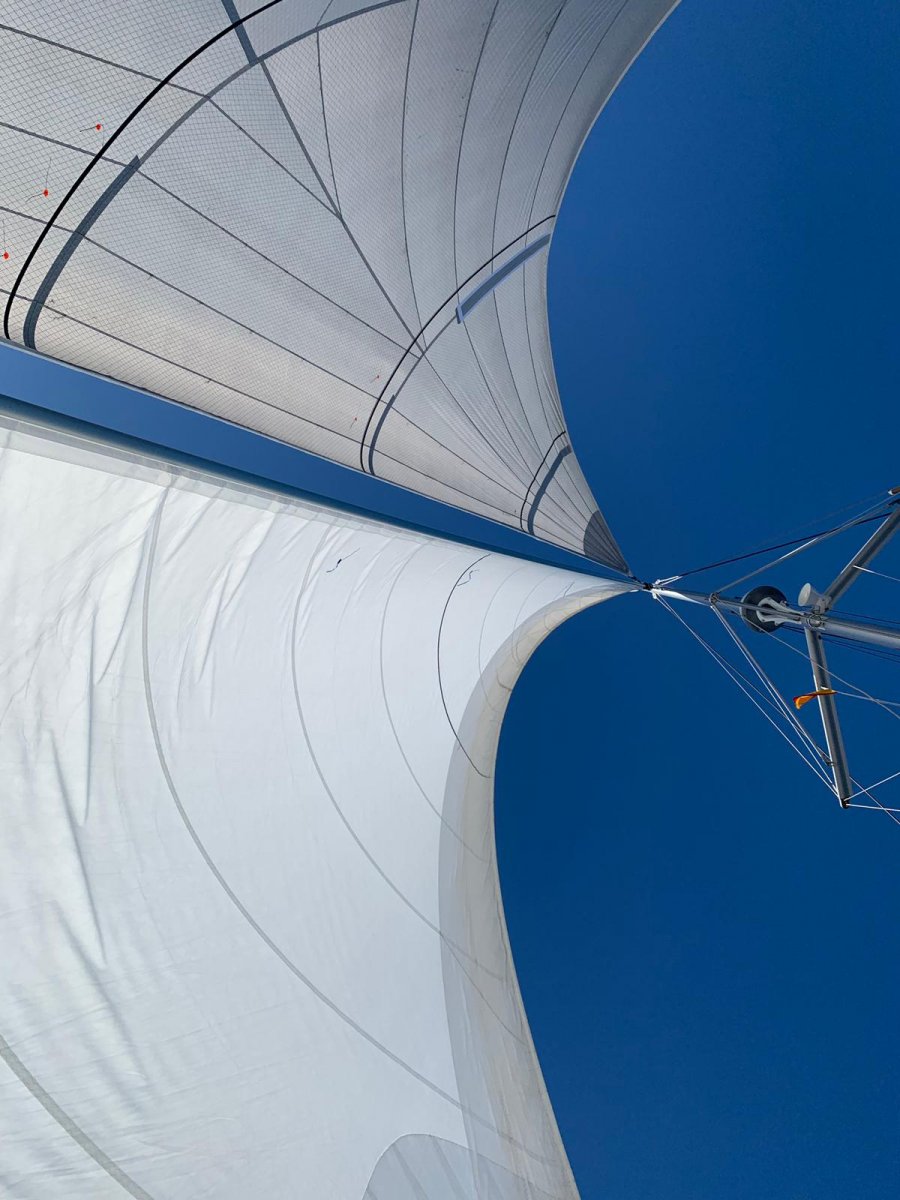 Enjoy the thrill of high-speed sailing