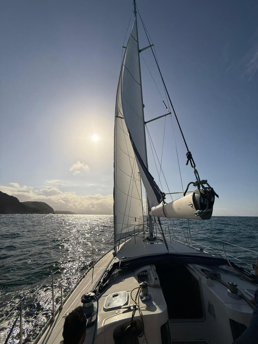 Sail navigation training