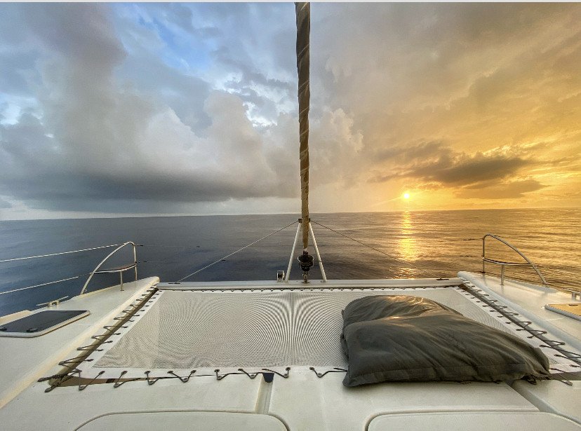 Experience the beauty of the sea on our ships