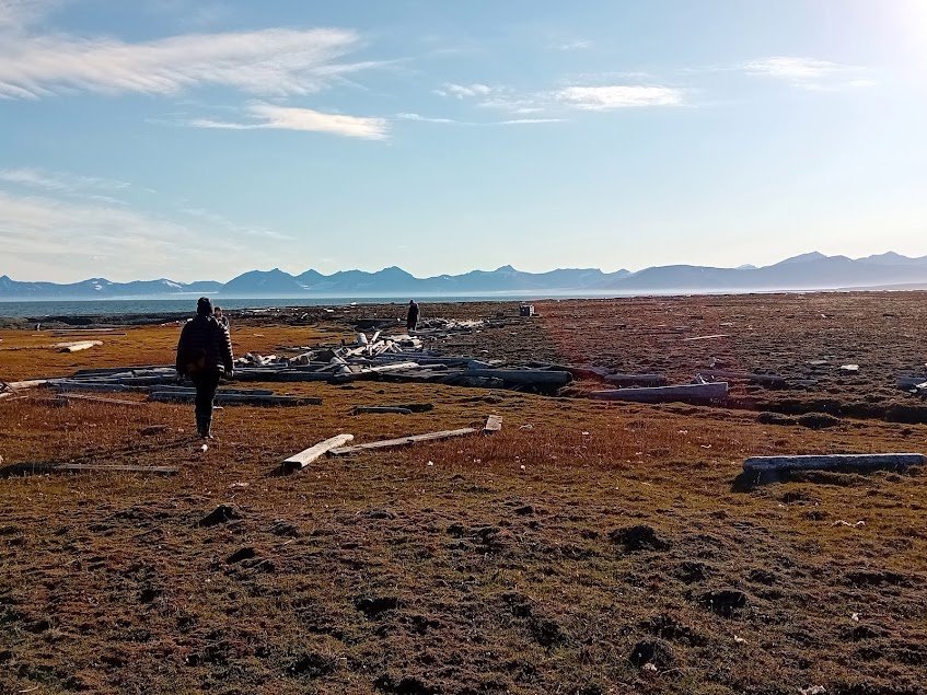 Svalbard Safari Sailing: Unique journey