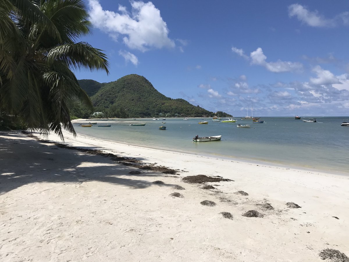 Entdecken Sie die Seychellen auf einem Gourmet-Katamaran