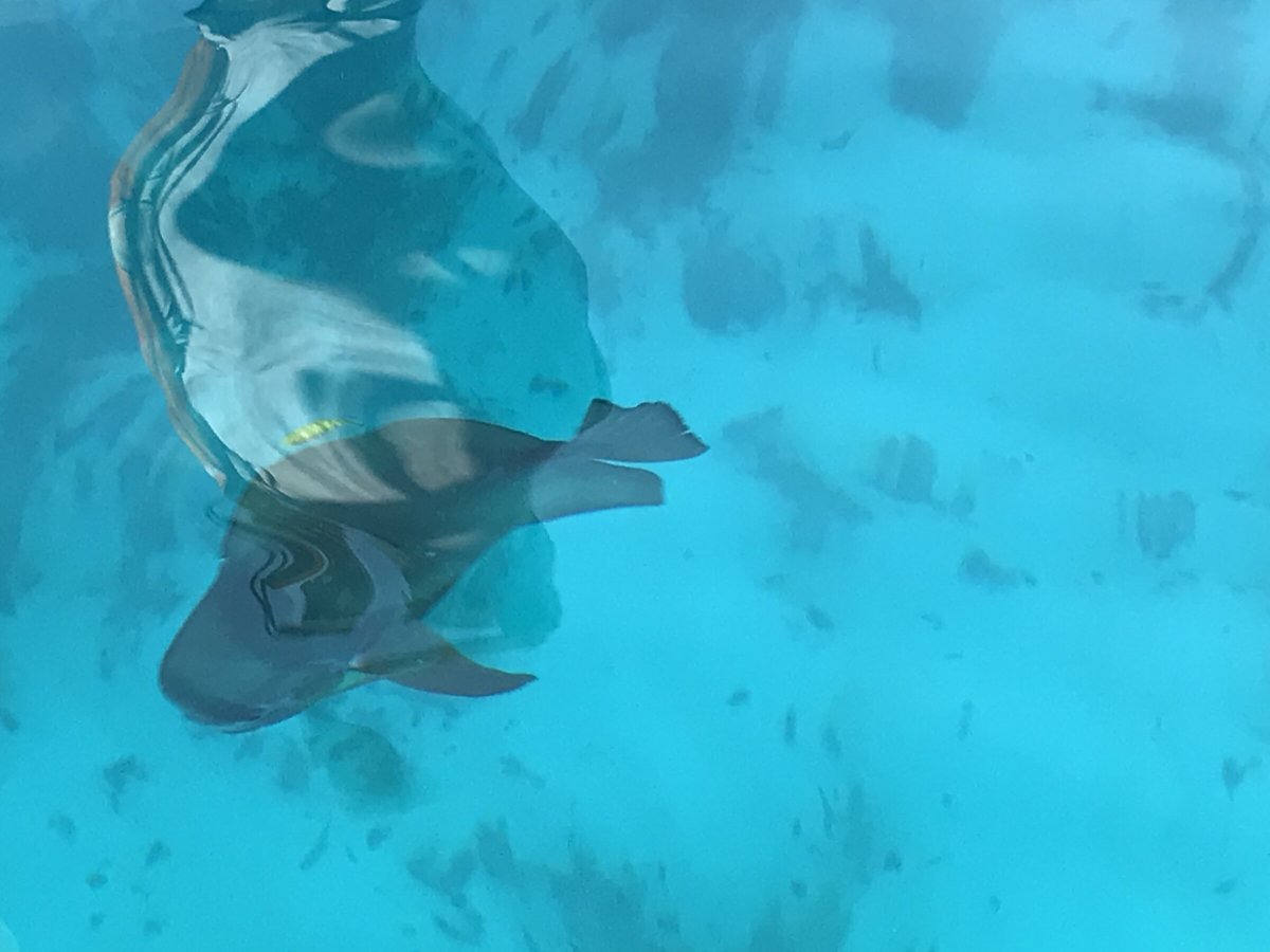 Segelkreuzfahrt mit Koch an Bord auf den Seychellen