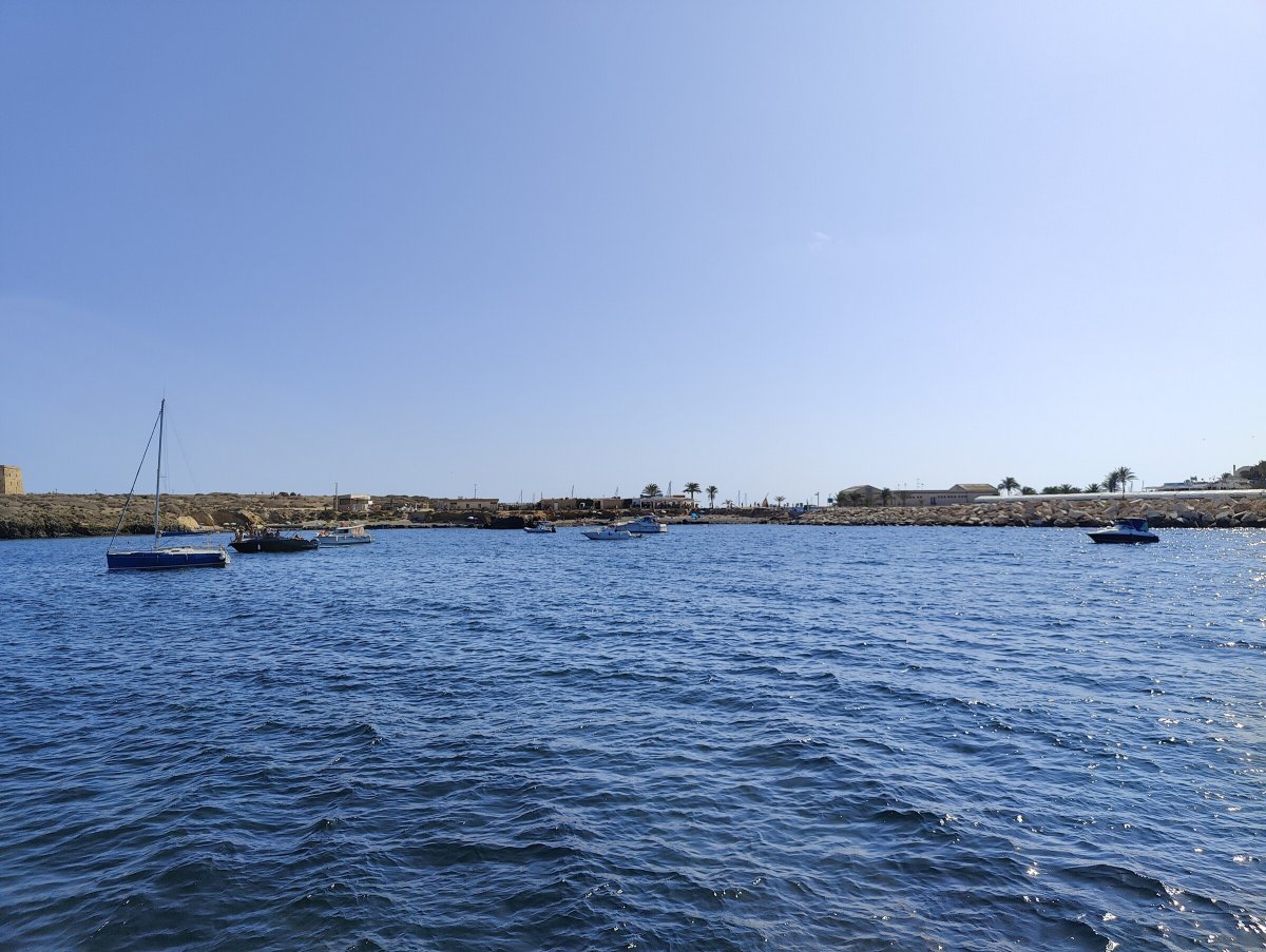 Learn sailing with professionals