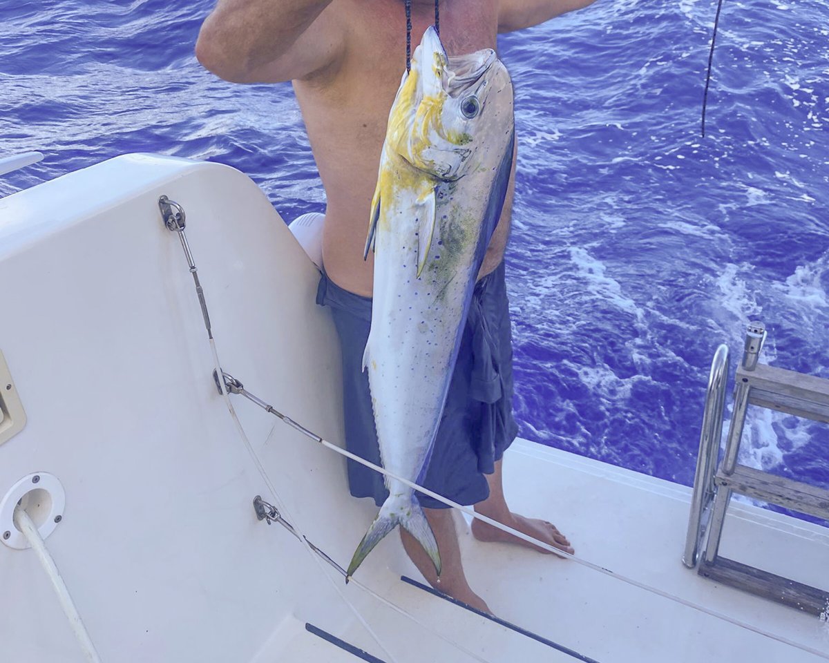 From the Caribbean to the Balearic Islands on a catamaran