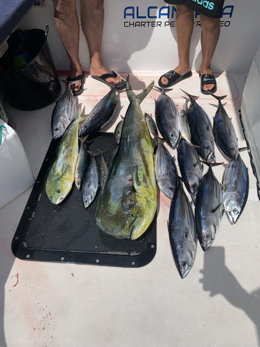 Cádiz Trolling Fishing