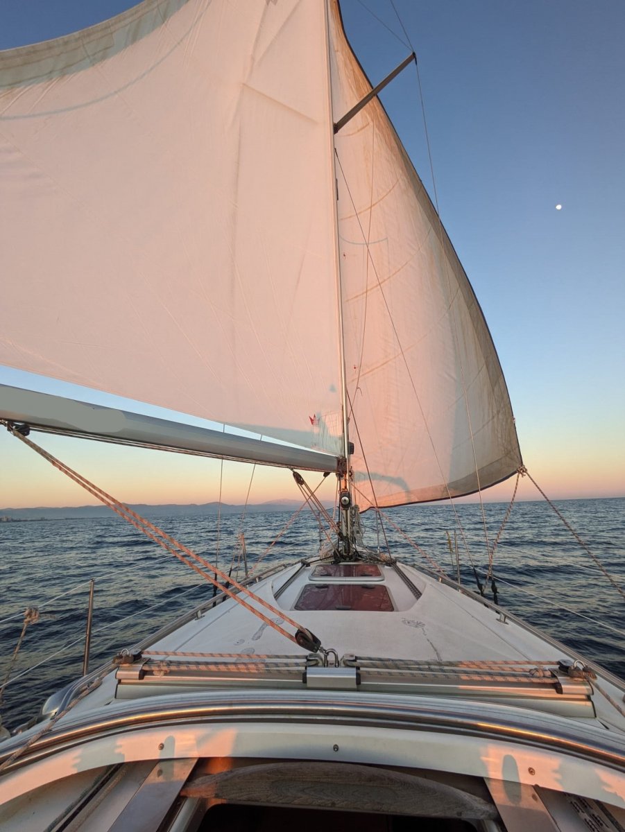 6661fa128da801.07707048