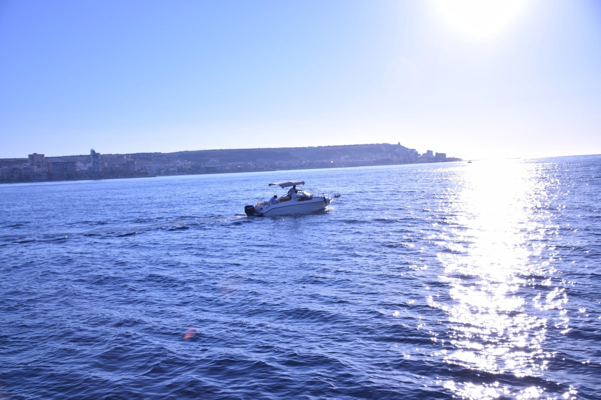 navigation license price