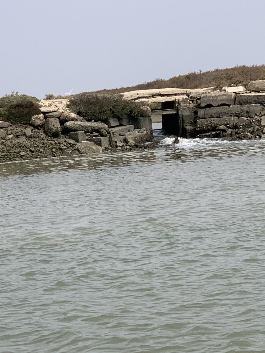 Explorar la costa de Cádiz en barco