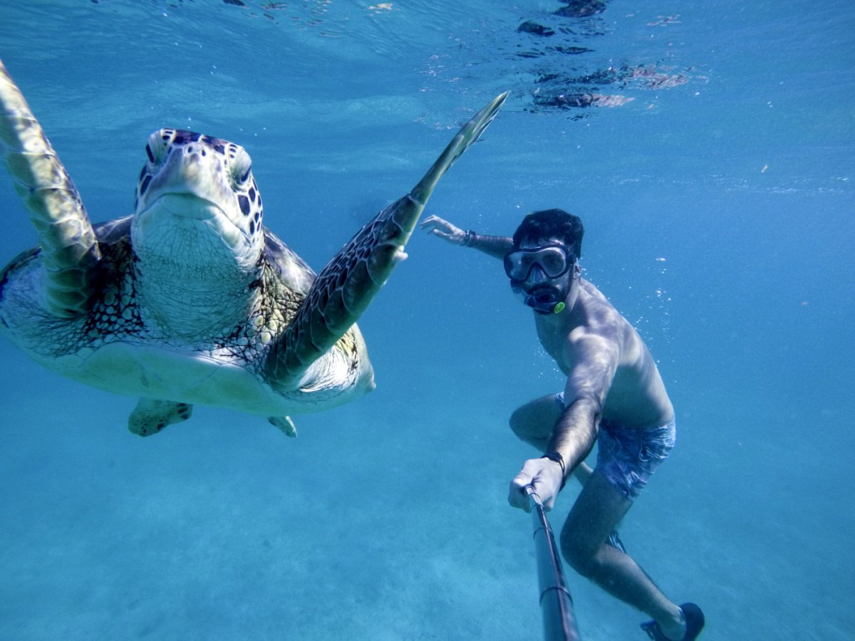 sailing ship by caribbean