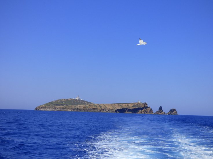 riserva-marina-delle-isole-columbretes