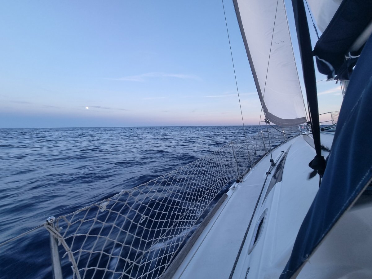 La bandiera della regata Ophiusa