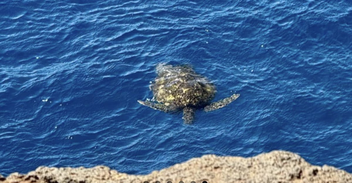 Enjoy the sea on a cruise from Azores to Brest