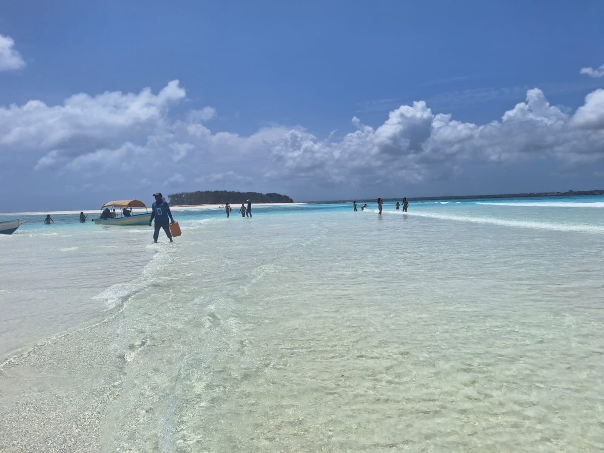 New Year's Cruise on Catamaran to Zanzibar and Pemba with Chef on Board