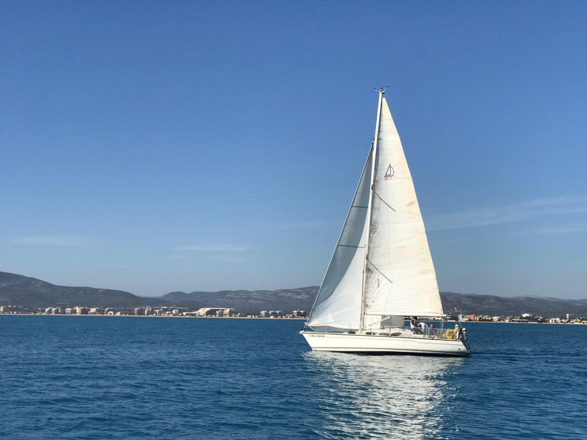 sailboat rental