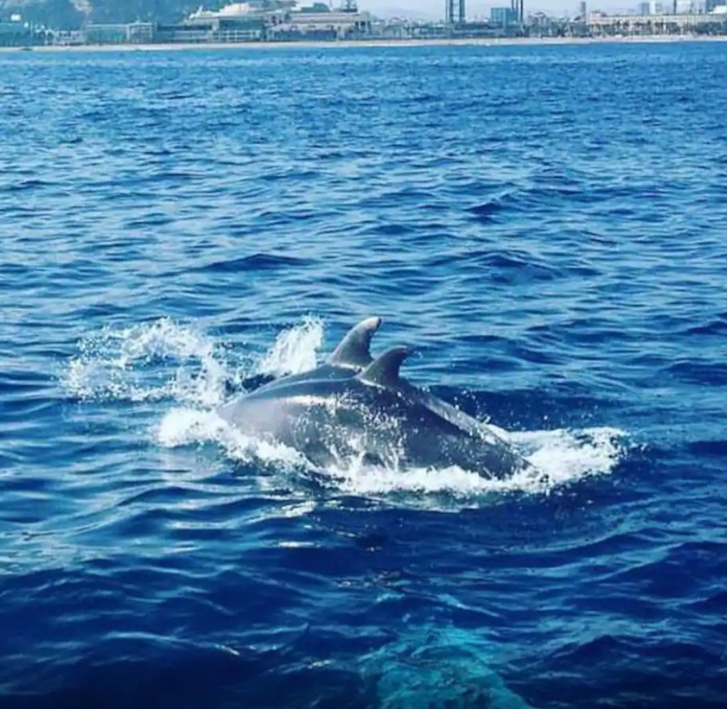 Explore the Mediterranean coast on a private boat tour