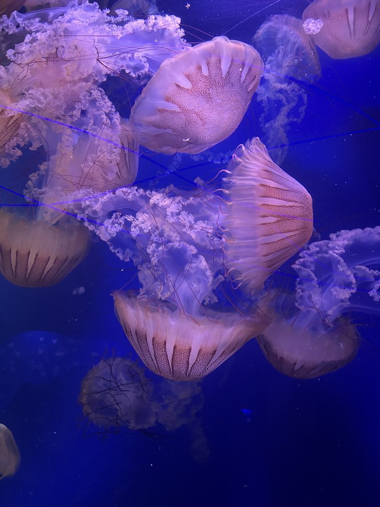 Learn to sail in a navigation course.