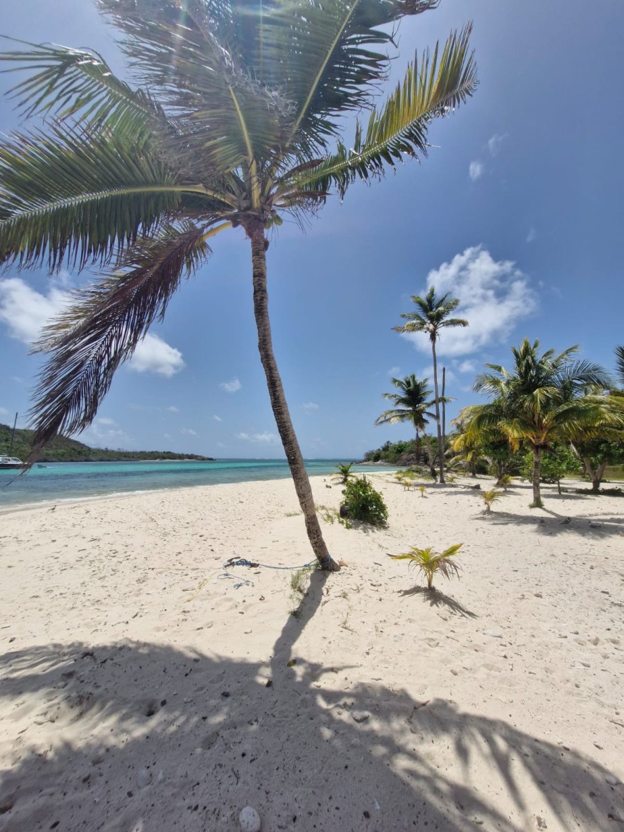 Navigationskurs durch Guadeloupe: Les Saintes und Marie Galante