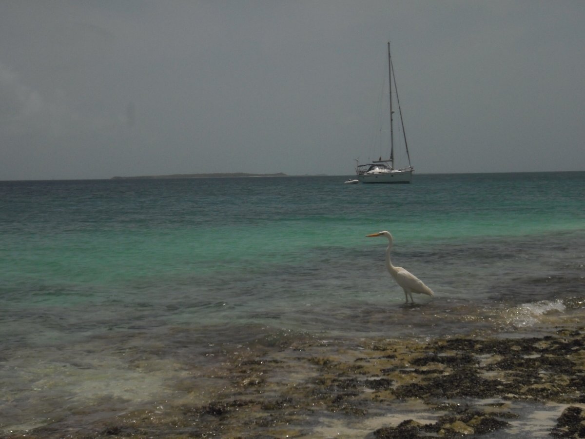 Luxury North Atlantic Crossing with a Single Cabin