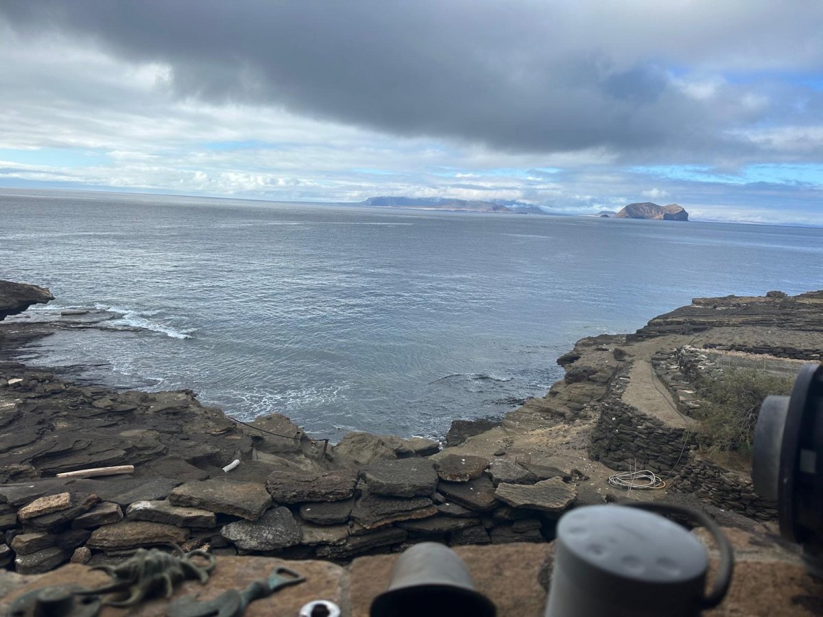 Disfruta de las vistas desde un catamarán en las islas de la Macaronesia