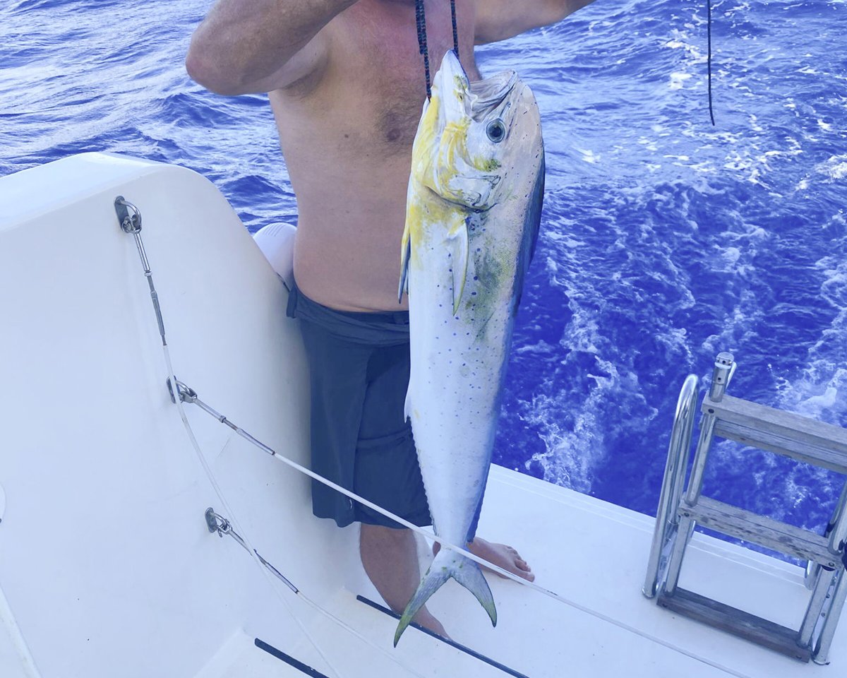 Cruce del Atlántico en Catamarán: Experiencia de Flotilla y Navegación con Sextante