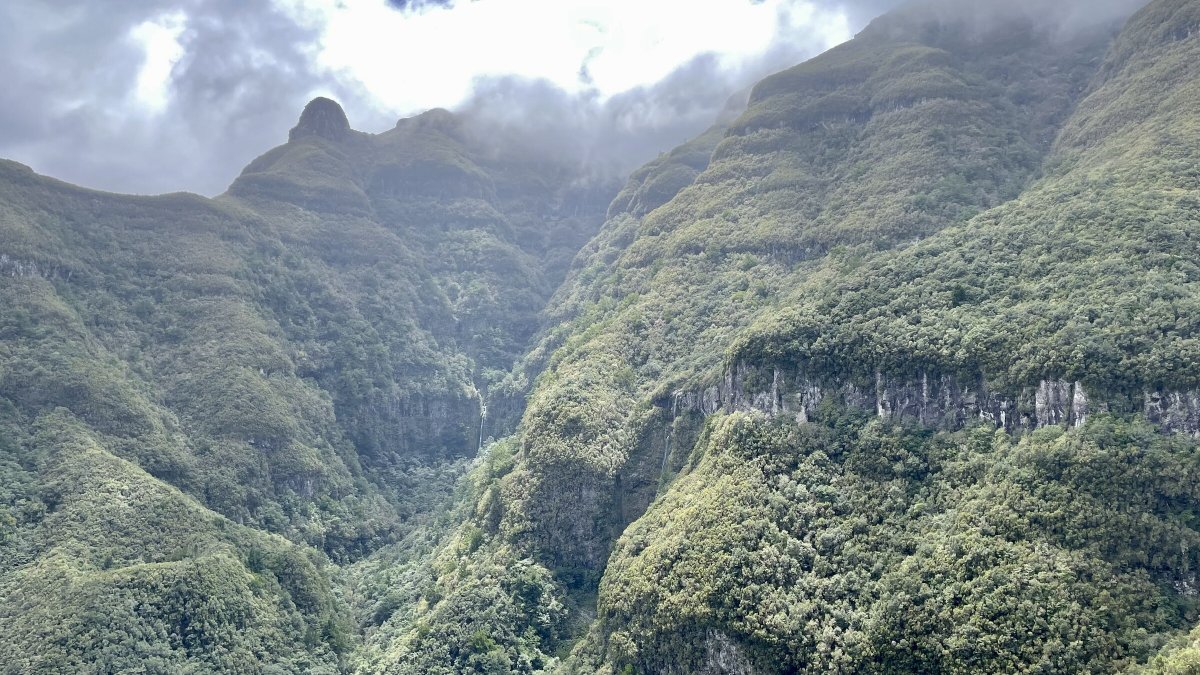 Explora las costas de Madeira en un viaje de vacaciones navideñas