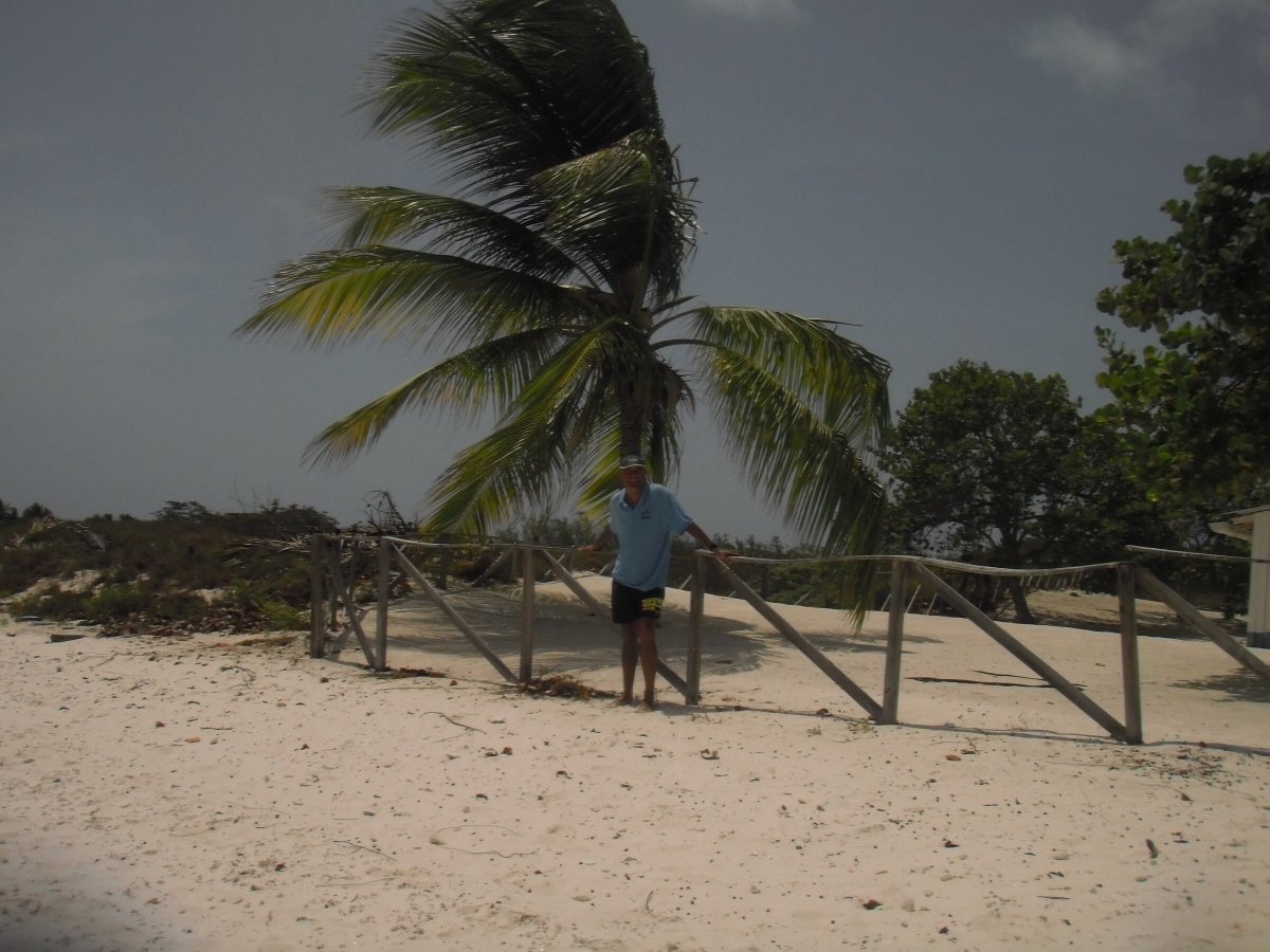 Explore the North Atlantic from the Comfort of Your Own Cabin