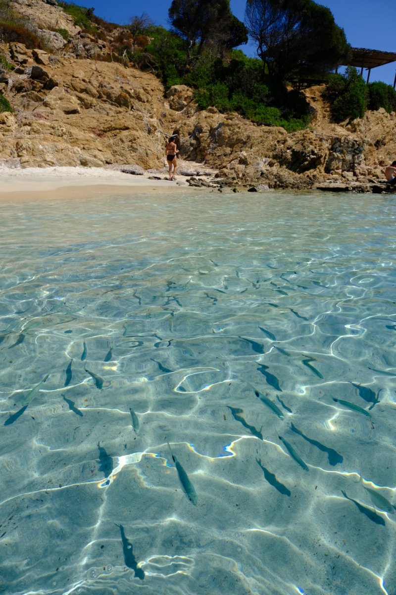 Discover the clear waters of Sardinia's coast
