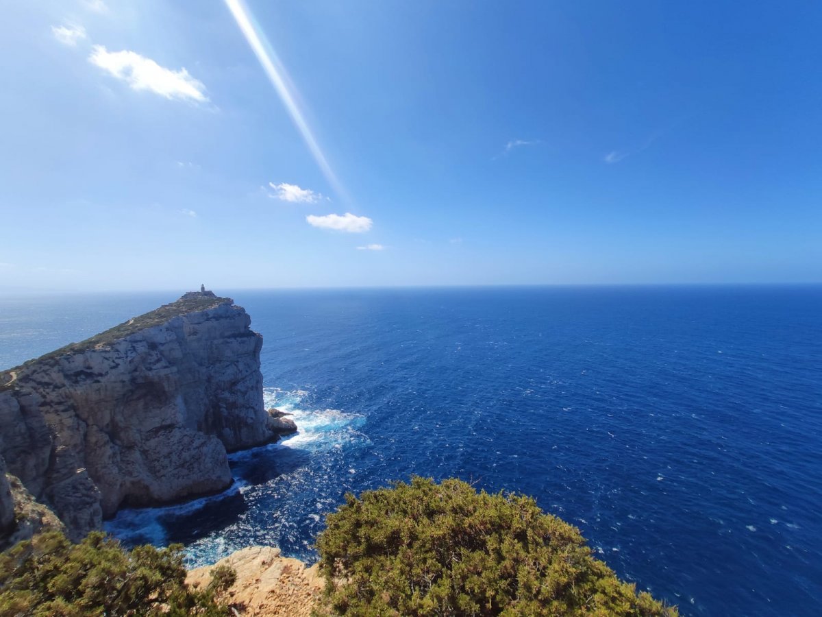 Embark on a sailing adventure in Asinara Island.