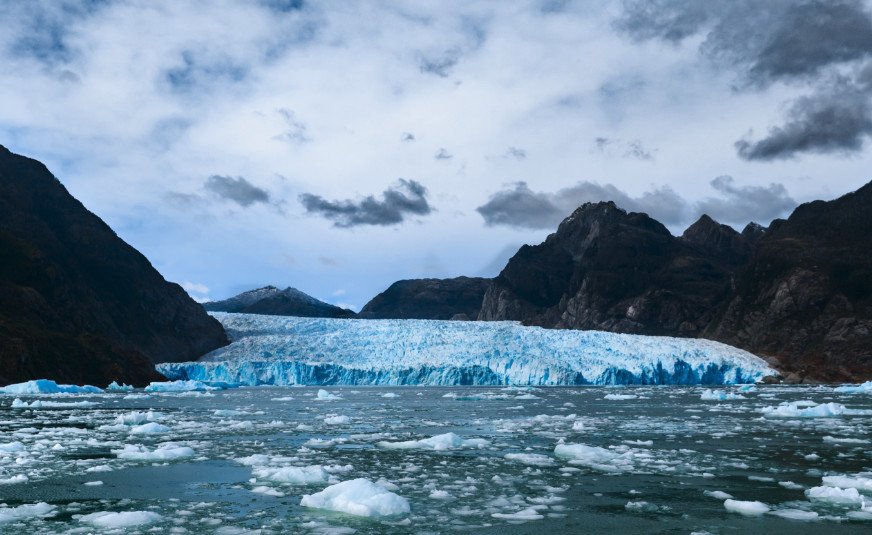 Fauna observation in the Strait of Magellan