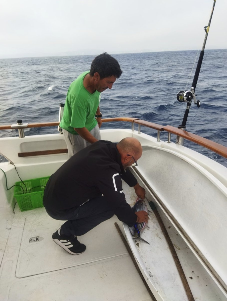Pesca del bonito en barco a motor en Gijón