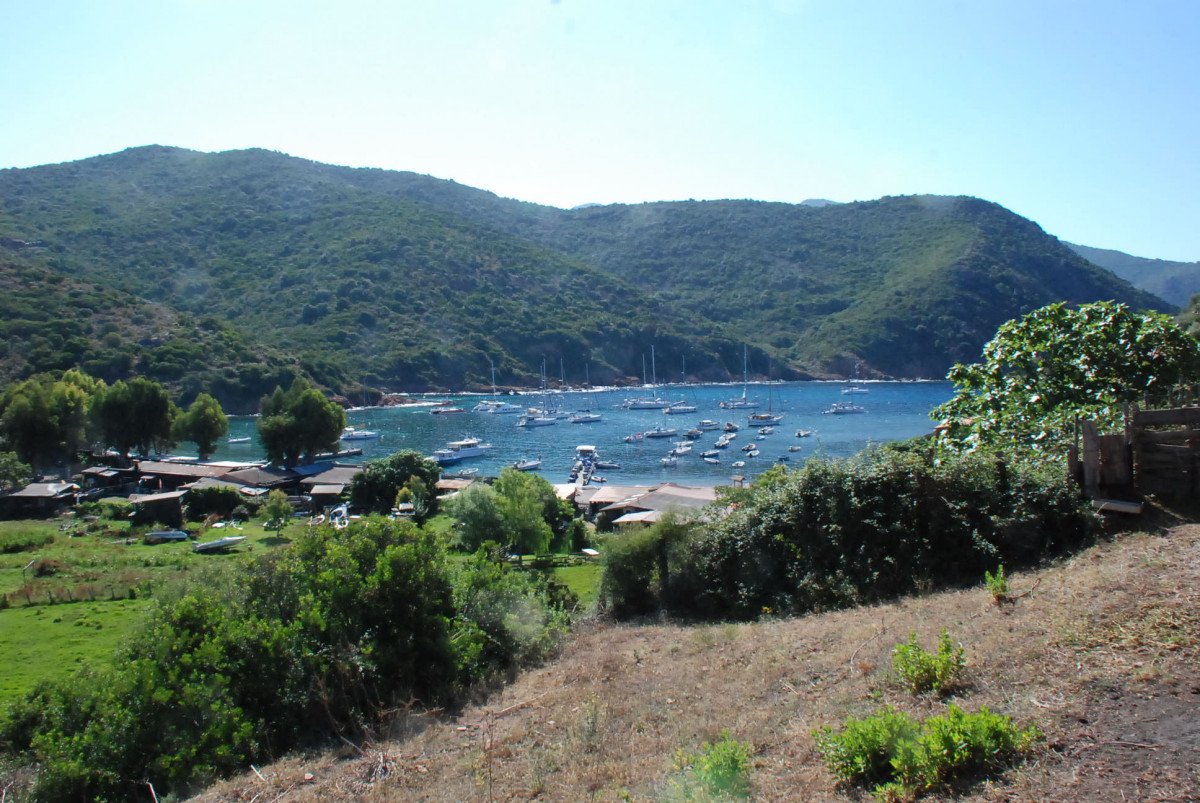 Explora Córcega con un emocionante viaje en velero