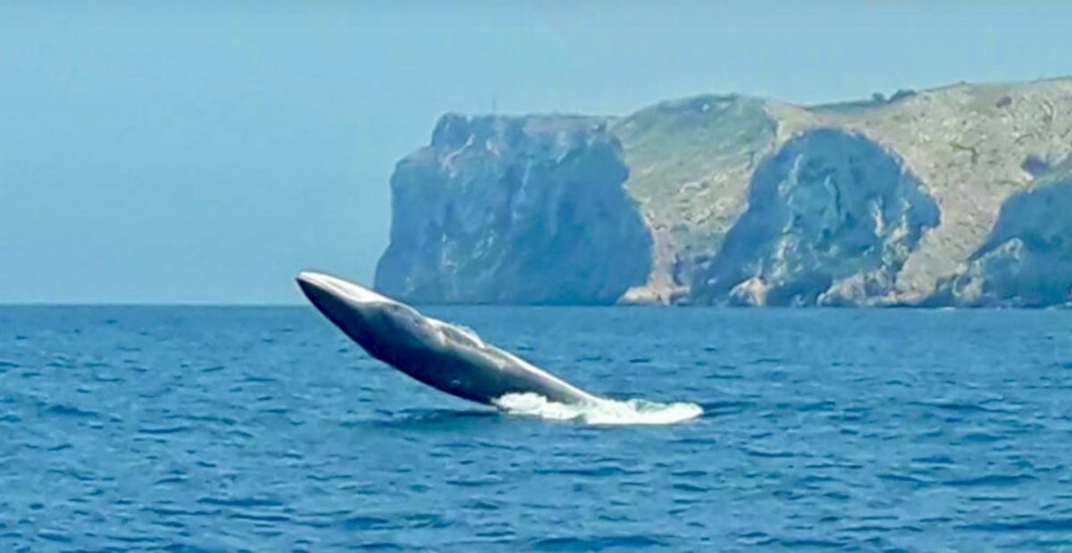 Sail through Macaronesia on a catamaran from Cadiz to Madeira
