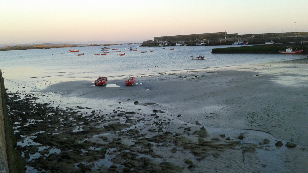 Navegando por las Rías Bajas