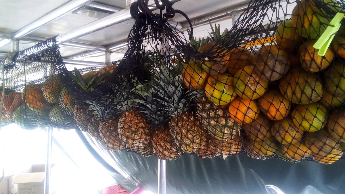 Disfruta de la comida local en las islas de San Blas