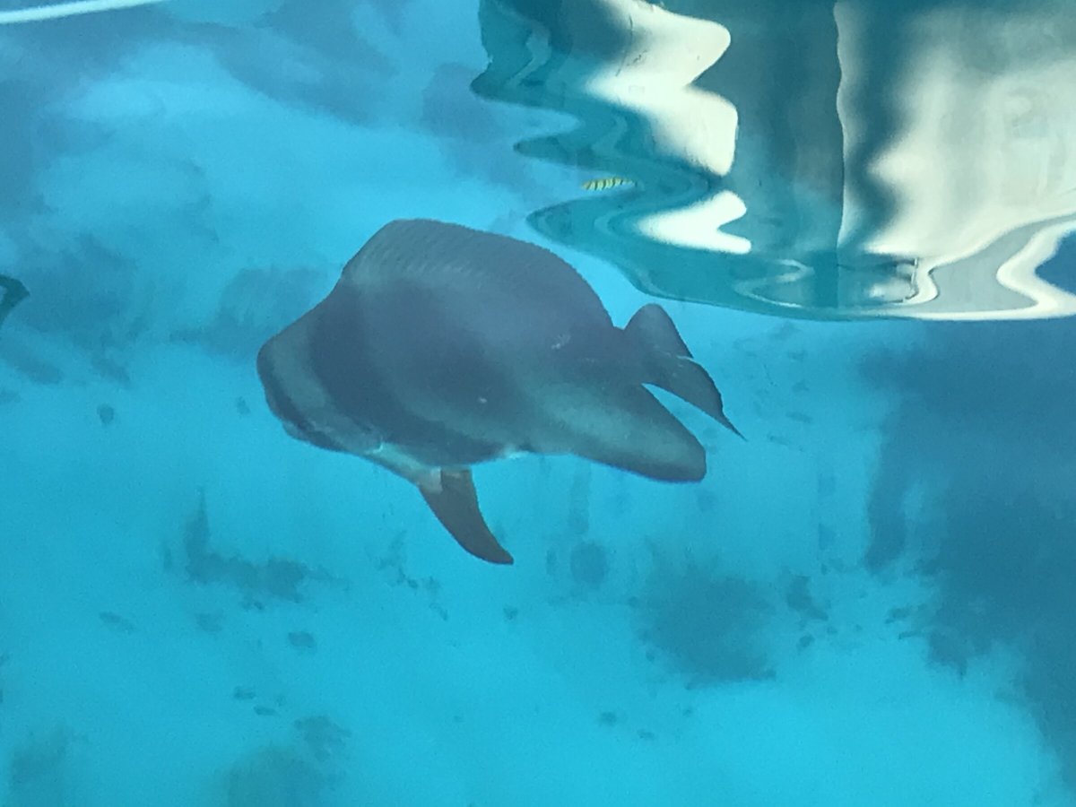 Segelerfahrung auf den Seychellen