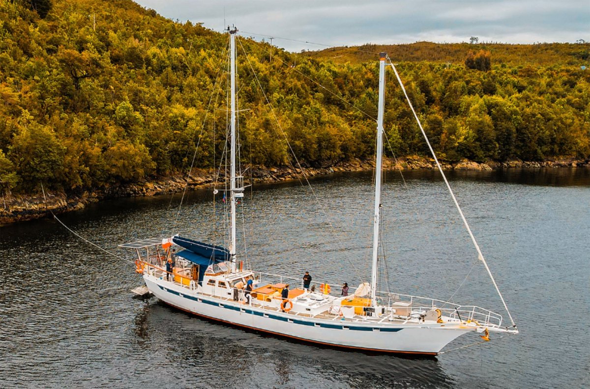 64c146de9d34d3.10705510