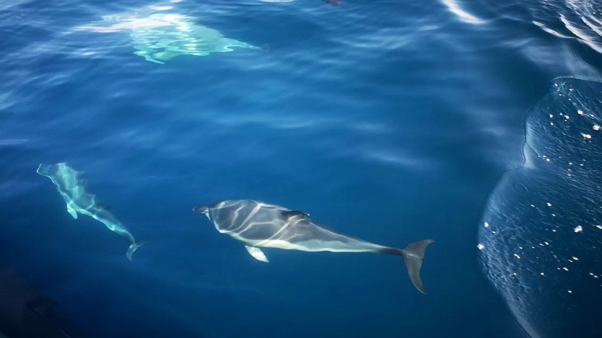 Set sail on the Mediterranean and discover the charm of Puerto Banús, Marbella.