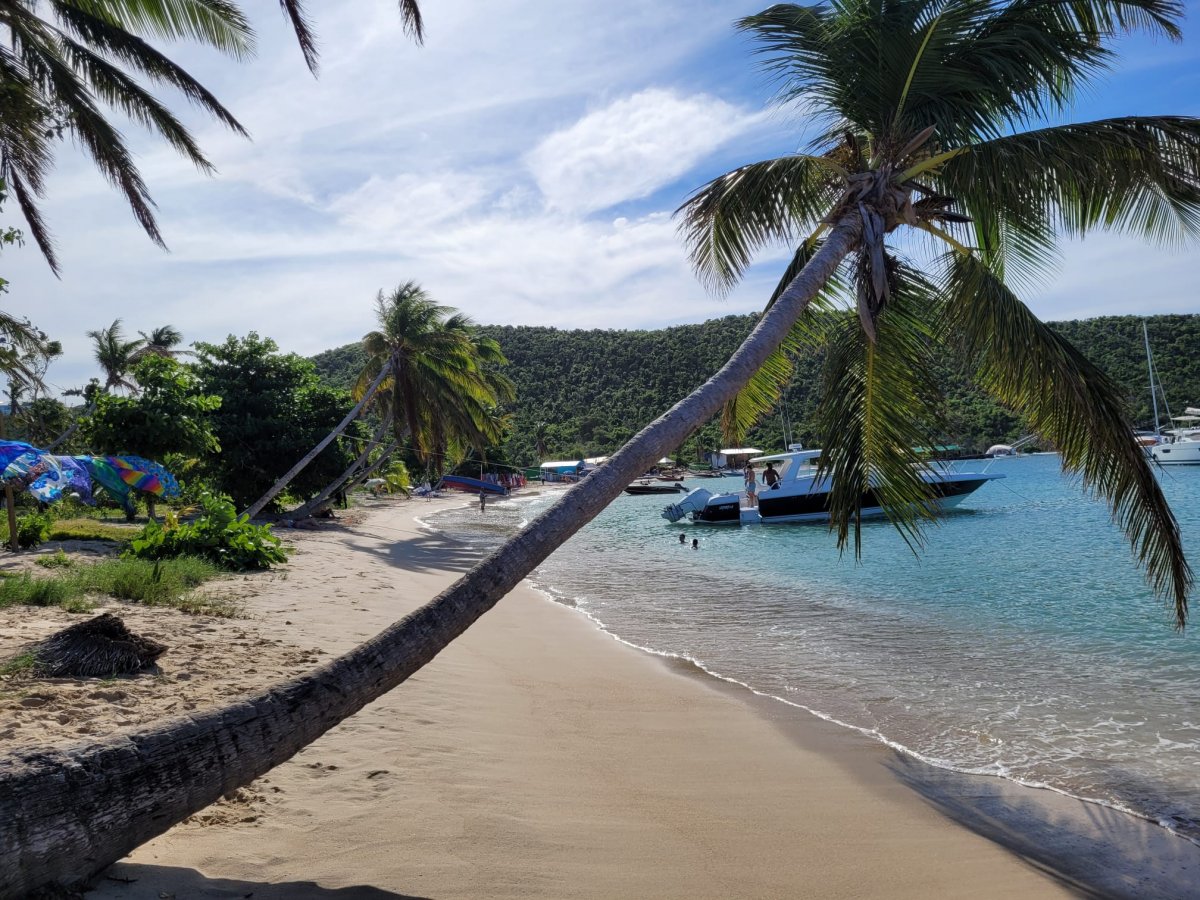 Explore the Caribbean by Boat