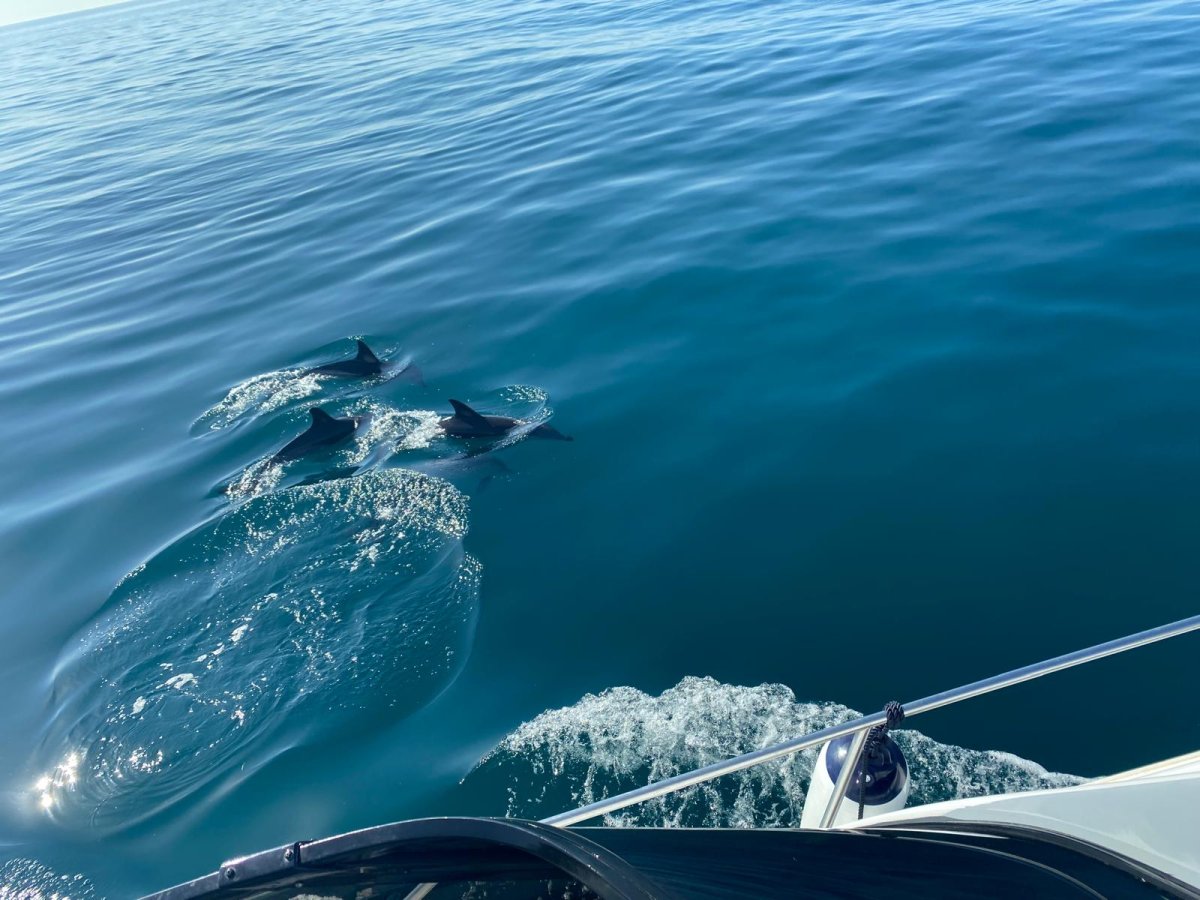 Viaggio in barca a vela da Gibilterra a sud