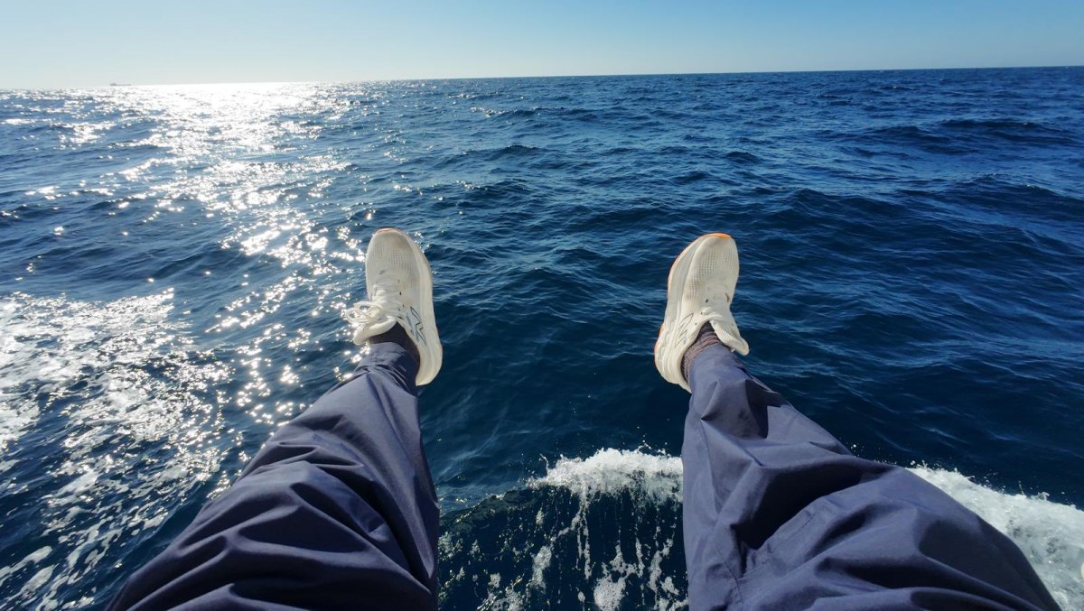 Segelt durch das Mittelmeer von Valencia nach Ibiza.