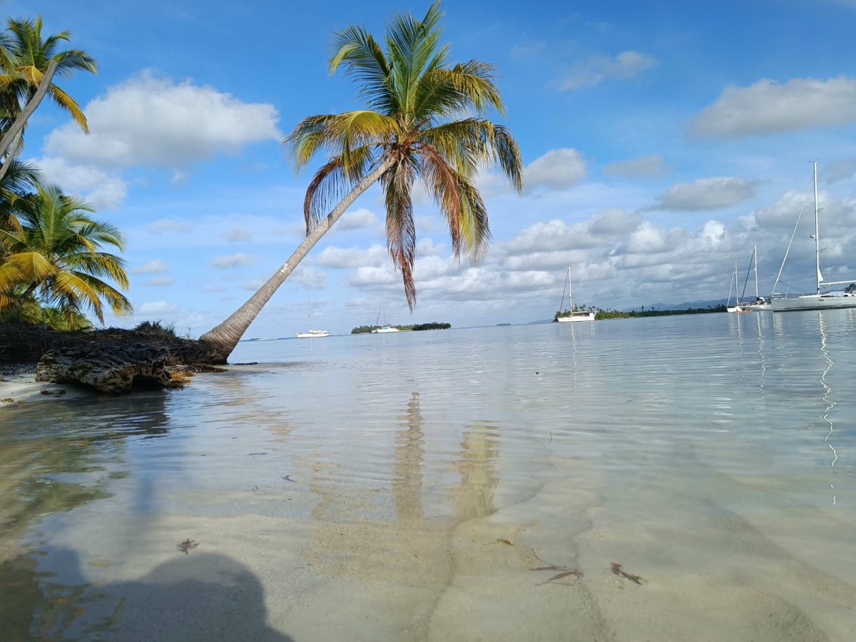 Boat Voyage: From Canary Islands to Caribe across the Atlantic