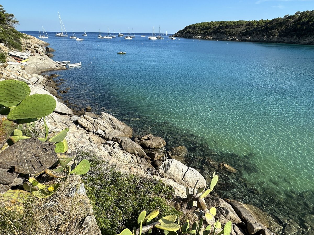 Crociera di lusso sull'Elba