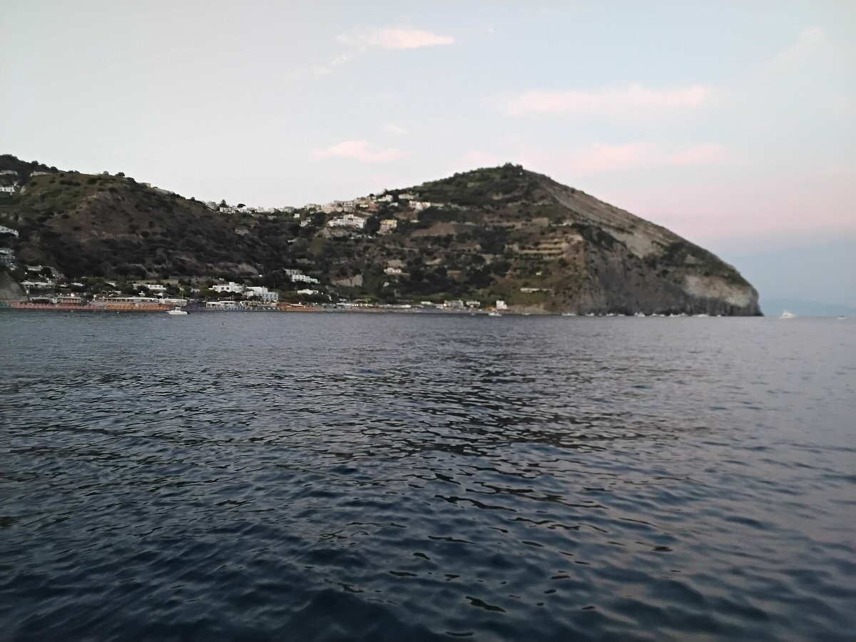 Educational Cruise from Pontine to Flegree: Learning About Whales and Their Habitats