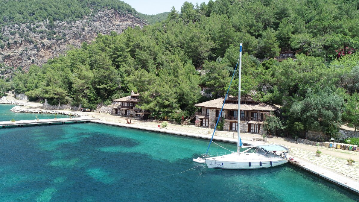 Explorando las aguas de verano