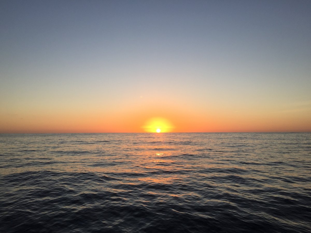 Die Freude am Segeln zu einer neuen Destination