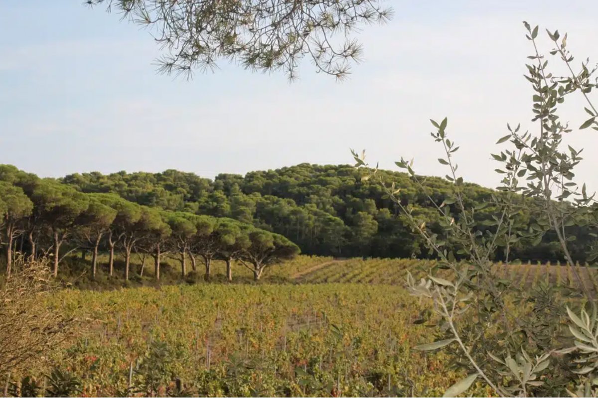 Segelerlebnis an der französischen Küste