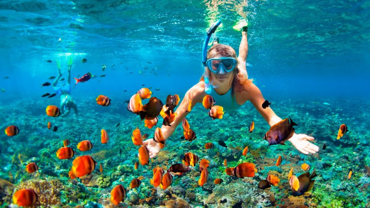 Explora el Caribe en un crucero