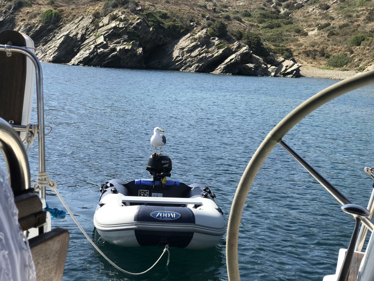 8D49B1C5-562D-4C28-B9DE-3BD139407C8B